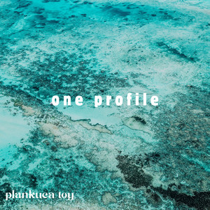 One Profile by plankuca toy