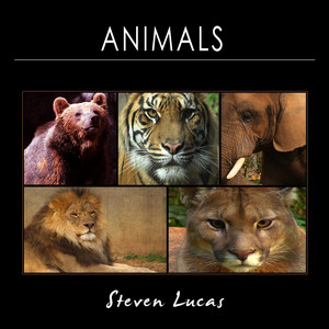 Steven Lucas - Animals