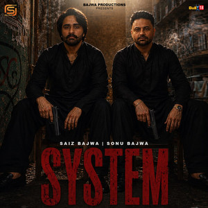 System by Saiz Bajwa, Sonu Bajwa