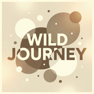 Wild Journey by Kato Group
