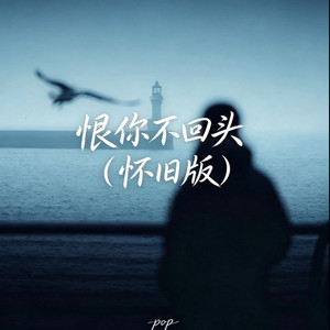 恨你不回头 - 怀旧版 by pop
