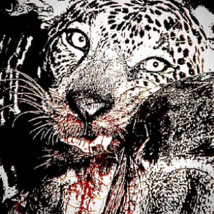 No hay Nadie que me Està Esperando