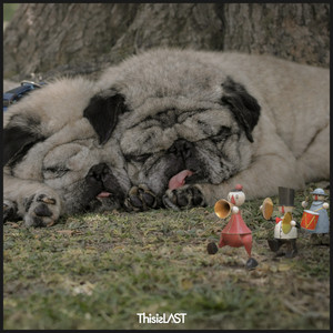 This is LAST - himawari