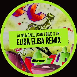 Alaia & Gallo — Can't Give It Up (Elisa Elisa Remix) (2026)