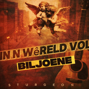 in-w-reld-vol-biljoene-song-and-lyrics-by-sturgeon-spotify
