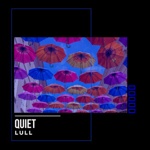 # 1 Album: Quiet Lull album