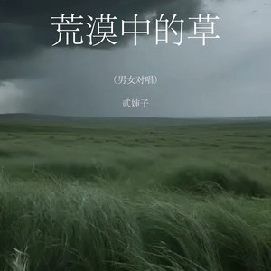 荒漠中的草 - 男女对唱版 by 贰婶子
