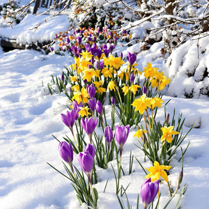 Spring by REVOLUTION INDUSTRY