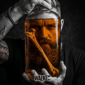 The Bottle & The Bone by Walker Lawrence