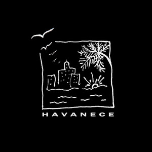 Havanece