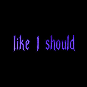 Like I Should by Jay De'Marco