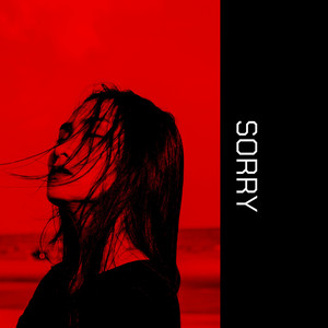 Sorry by Rebel Riddimack