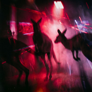 Stranger Bounce by DIDI DUKE