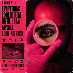 Portada de Everything Looked Real Until I Saw Myself Looking Back
