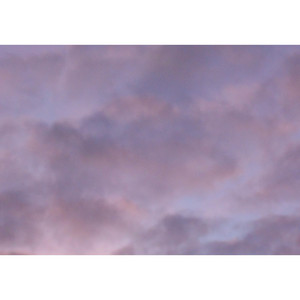 morning again by Soothing Spore