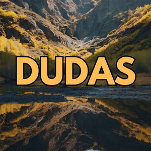 Dudas by Alan wiston