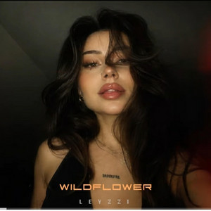 LEYZZI Wildflower Original Mix by BABEL