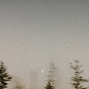 right here, forever by lost & proud