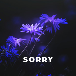 Portada de Sorry