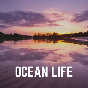 Ocean Life album