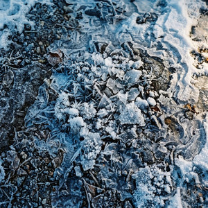 fallen snow by Veylomi