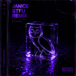 Janice STFU Remix by tonedin