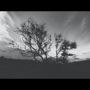 Dust On The Wind