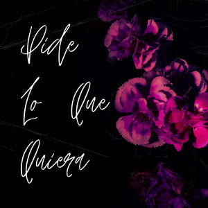Pide Lo Que Quiera by vivi la voz