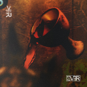 Tear by EVER