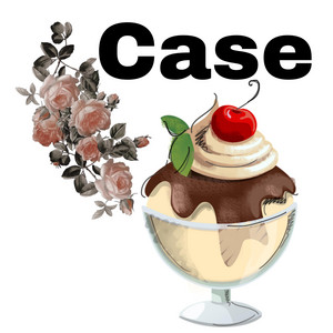 Case