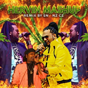 Hervin - Ultimate Nostalgia Mashup by Spinz Cz
