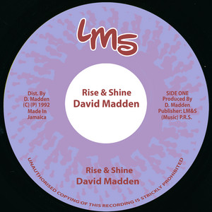 David Madden | Spotify