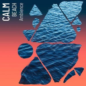 Calm Beach Ambience album