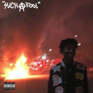 Portada de Such a Fool