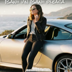 Banii vin Banii pleaca by DJ GROSSU