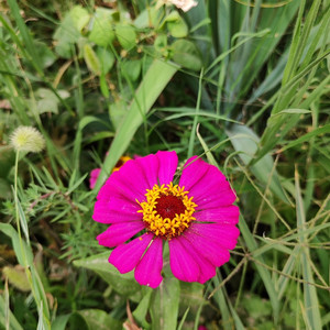 Kate Chriscicka - Requiem