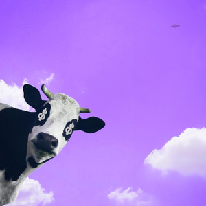 Cash Cow by Iza!ah