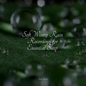 Soft Winter Rain Recordings for Essential Sleep album