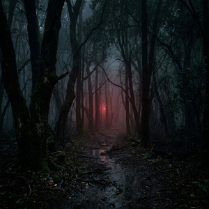 HIDDEN SIGNAL by luxorbit