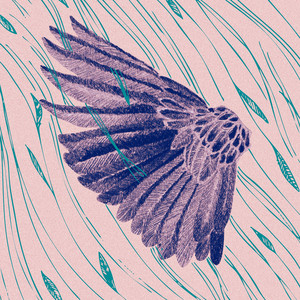 Bird of Sorrow - Etnobotanika Rework by ńoko, ETNOBOTANIKA