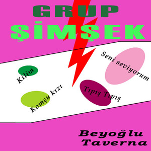 Grup Şimşek