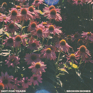broken bones by Not For Tears