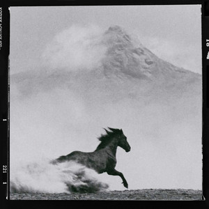 Rushmore by Parker Ighile