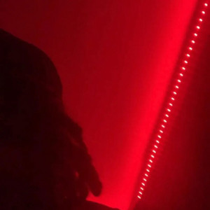 Lungs by LS Nate