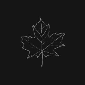 Leaf by Nick Box