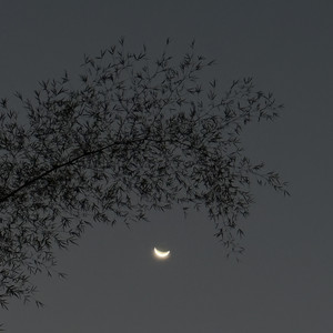 sosoon by Prithvi