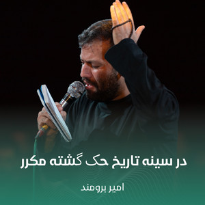 در سینه تاریخ حک گشته مکرر by امیر برومند