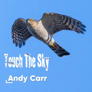 Touch The Sky by Andy Carr