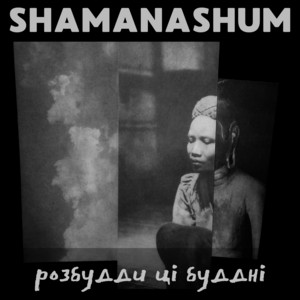 Обкладинка: розбудди ці буддні - Instrumental