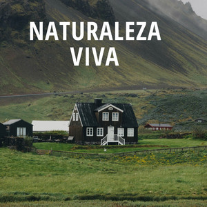 naturaleza viva by samuel alexandrer